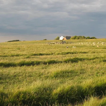 Hof Rickelsbuell - Nordseeurlaub Auf Dem Biobauernhof Rodenas