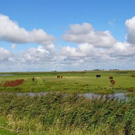 Hof Rickelsbuell - Nordseeurlaub Auf Dem Biobauernhof * Rodenäs