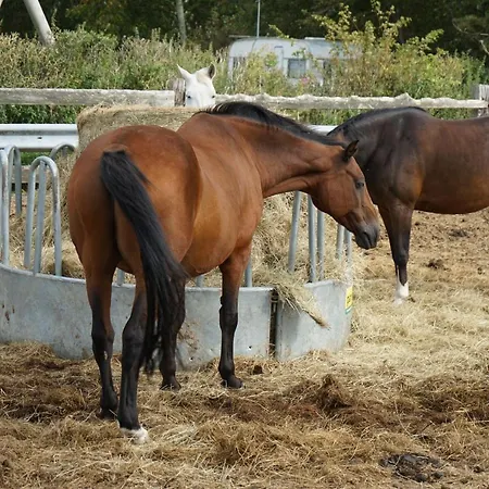 Lägenhet Hof Rickelsbuell - Nordseeurlaub Auf Dem Biobauernhof