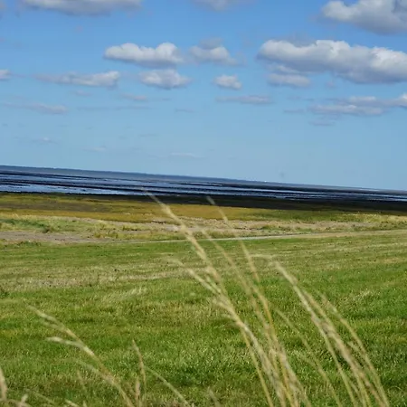 Lägenhet Hof Rickelsbuell - Nordseeurlaub Auf Dem Biobauernhof