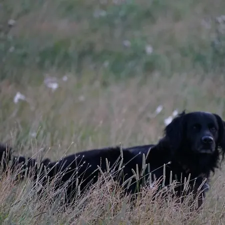 Hof Rickelsbuell - Nordseeurlaub Auf Dem Biobauernhof * Rodenäs
