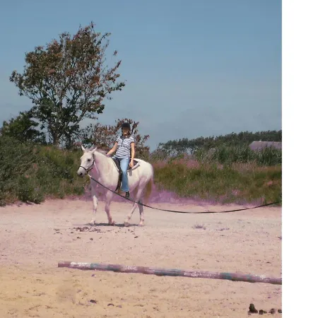 דירה Hof Rickelsbuell - Nordseeurlaub Auf Dem Biobauernhof *