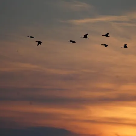 Hof Rickelsbuell - Nordseeurlaub Auf Dem Biobauernhof דירה *
