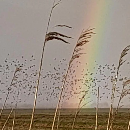 Hof Rickelsbuell - Nordseeurlaub Auf Dem Biobauernhof Apartment Rodenas
