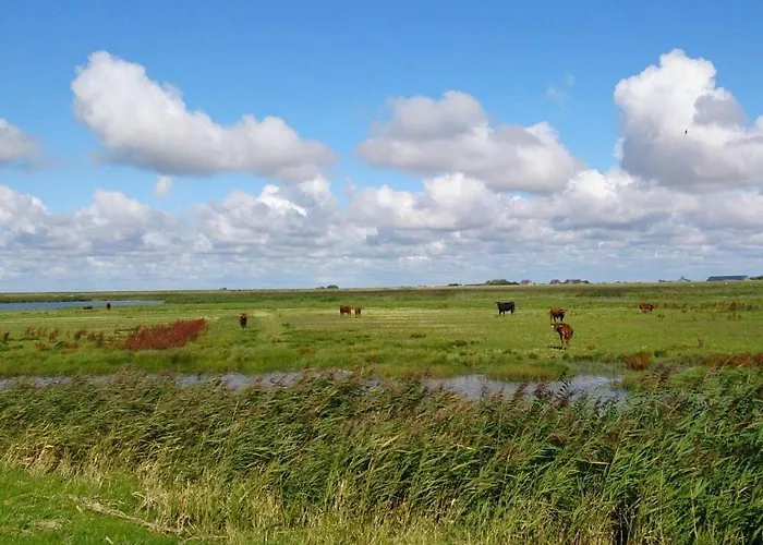 Hof Rickelsbuell - Nordseeurlaub Auf Dem Biobauernhof * Rodenäs