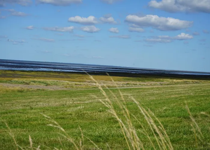 Appartement Hof Rickelsbuell - Nordseeurlaub Auf Dem Biobauernhof