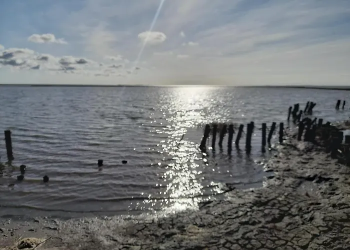 Hof Rickelsbuell - Nordseeurlaub Auf Dem Biobauernhof Appartement *