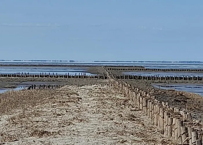 Hof Rickelsbuell - Nordseeurlaub Auf Dem Biobauernhof Rodenäs